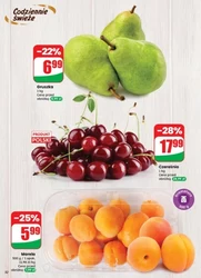 Najnowsze promocje w Dino!
