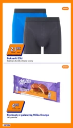 Action - wakacyjny niezbędnik