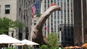 Prawdziwe dinozaury czy zmyślone mutanty? Przekłamania w "Jurassic World"
