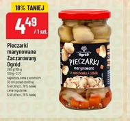 Гриби Zaczarowany Ogród