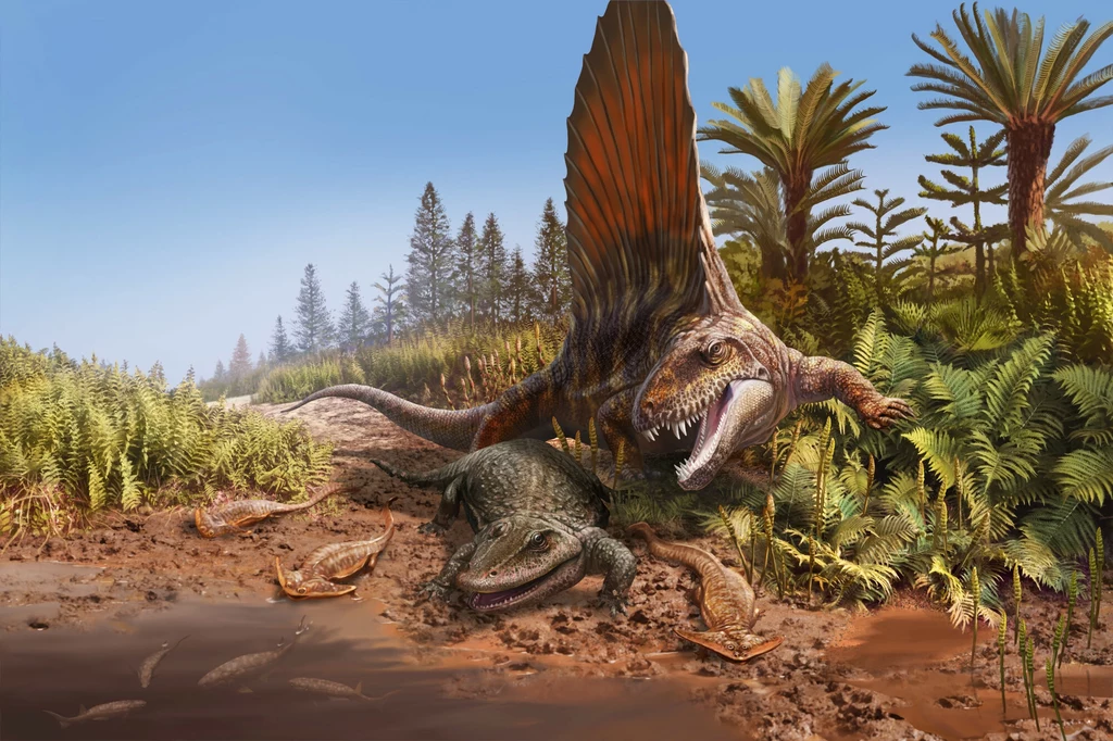 Krajobraz Ziemi w okresie permu. Poluje wielki dimetrodon Krajobraz Ziemi w okresie permu. Poluje wielki dimetrodon