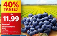 Borówki amerykańskie