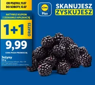 Jeżyny