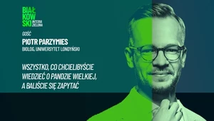 Z bambusowego lasu na salony. Tak Chińczycy wykorzystują pandy