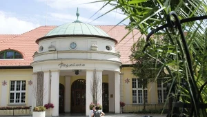 Wielka Pieniawa, wydobywana w Polanicy-Zdroju, to woda o wysokiej zawartości cennych, prozdrowotnych pierwiastków