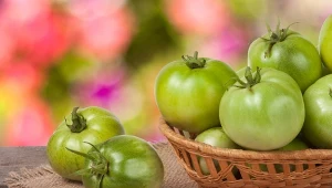 Kupiłeś niedojrzałe pomidory? Umieść je w tym miejscu, a w mig się zaczerwienią