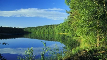 Jezioro Jasne na Pojezierzu Iławskim zachwyci każdego. Przekonaj się, dlaczego warto je odwiedzić 
