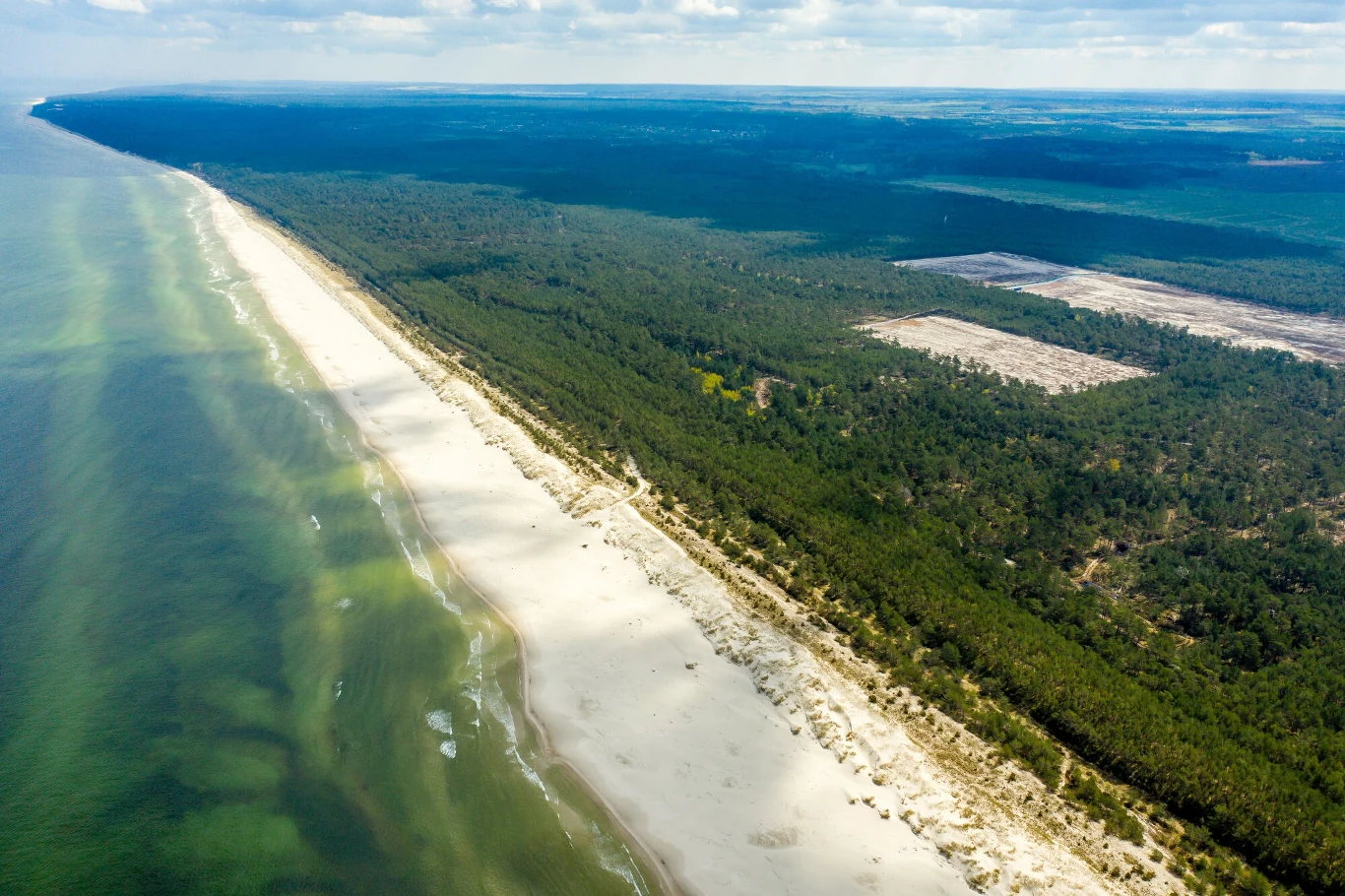 Teren, na którym powstanie pierwsza polska elektrownia jądrowa Szeroka piaszczysta plaża biegnąca wzdłuż brzegu morza, otoczona gęstym lasem, w tle rozciągająca się przestrzeń lądowa oraz połacie lasów i polan.