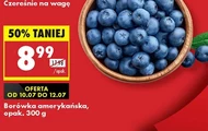 Borówka amerykańska
