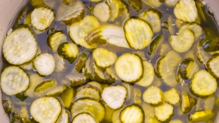 Z letnich ogórków warto zrobić smaczną sałatkę do słoików na zimę