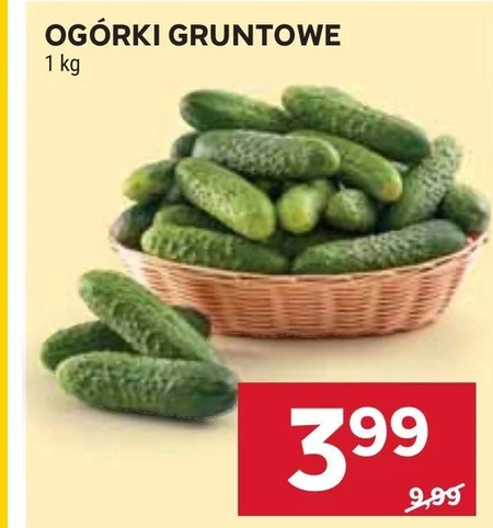 Огірки