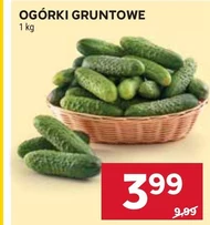 Огірки