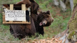 Aktywiści okupowali urząd, był nawet strój niedźwiedzia. Finał zaskakuje 