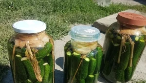 Ogórki kalwaryjskie to duma regionu. O „ogórcorzach” wspomniał Jan Paweł II