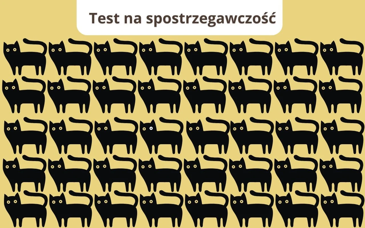 Test na spostrzegawczość: Jak szybko dostrzeżesz różnicę na obrazku? Wzór złożony z wielu czarnych kotów ustawionych w rzędach na jasnożółtym tle, z napisem Test na spostrzegawczość na górze, niektóre koty różnią się szczegółami twarzy.