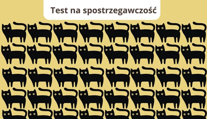 Test na spostrzegawczość: Jak szybko dostrzeżesz różnicę na obrazku?