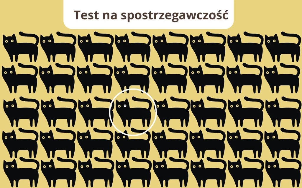 Poprawna odpowiedź Rząd czarnych sylwetek kotów na żółtym tle, wśród których jeden kot ma inne oczy, co zostało oznaczone białym okręgiem.