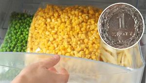 Wyjeżdżasz na urlop? Włóż monetę do zamrażarki, a po powrocie sobie podziękujesz