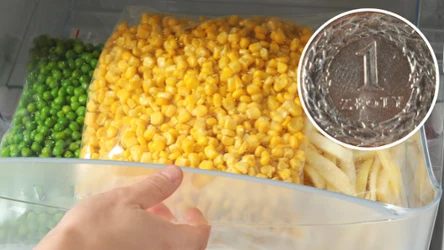 Czy wiesz, dlaczego warto włożyć monetę do zamrażarki przed urlopem? Ten trik może ci bardzo pomóc