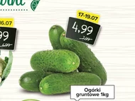 Огірки