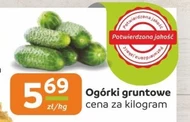 Ogórki E