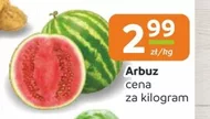 Arbuz
