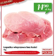 Безкісткова лопатка Data