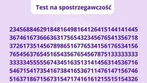 Masz sokoli wzrok? Sprawdź, ile "9" zauważysz w tej zagadce