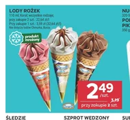 Lody Koral