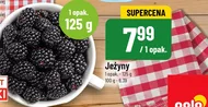 Jeżyny