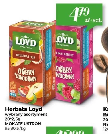 Herbata Loyd