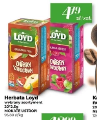 Herbata Loyd