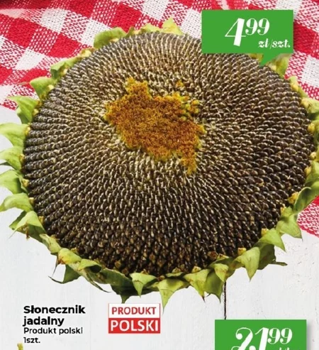 Słonecznik