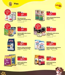 Gorące, letnie promocje! - Kakadu