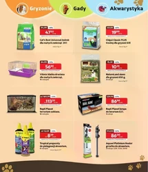 Gorące, letnie promocje! - Kakadu