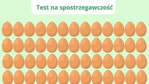Test wzroku: Widzisz pęknięcie jajka? Większość osób nie potrafi dostrzec