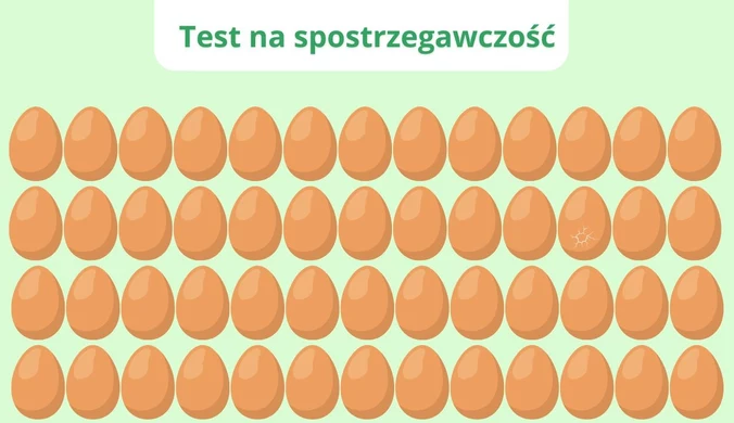 Test na spostrzegawczość, z którym 95% użytkowników ma kłopot
