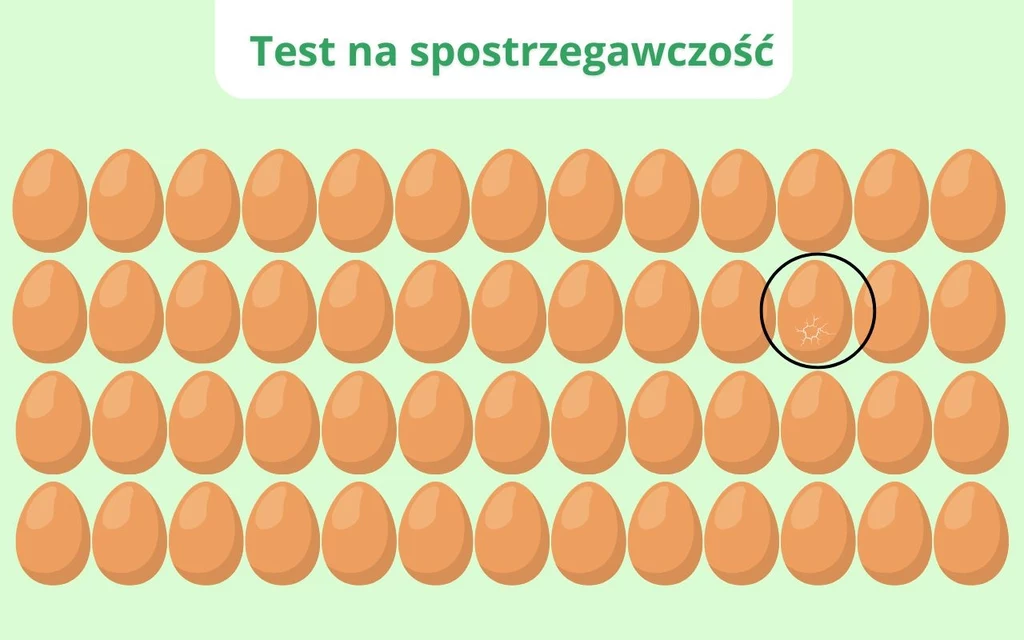 Szereg brązowych jajek ustawionych w równych rzędach na jasnym tle, wśród których jedno jajko zostało oznaczone czarnym okręgiem i lekko się wyróżnia, w górnej części widnieje napis test na spostrzegawczość.