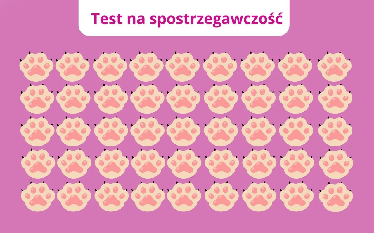 Test na spostrzegawczość: Czy dojrzysz różnicy? Rząd motywów przedstawiających różowe kocie łapki na fioletowym tle, ułożonych w symetrycznej siatce, na górze widnieje biały prostokąt z napisem Test na spostrzegawczość.