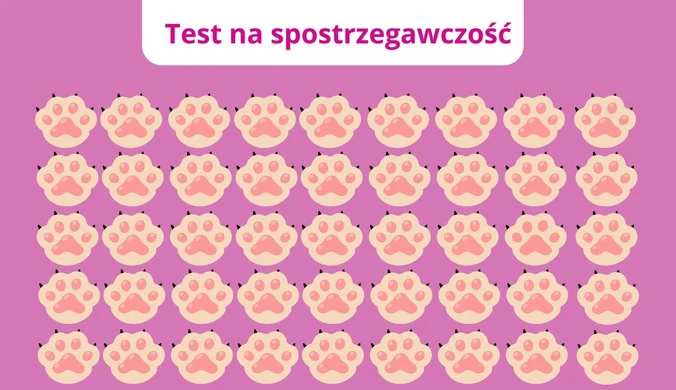Test na spostrzegawczość: Czy dojrzysz różnicy?