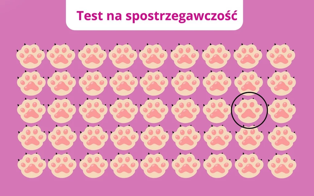Poprawna odpowiedź Wzór złożony z równo rozmieszczonych różowych odcisków łap z jednym łapą oznaczoną czarnym okręgiem, całość na fioletowym tle, w górnej części napis Test na spostrzegawczość.