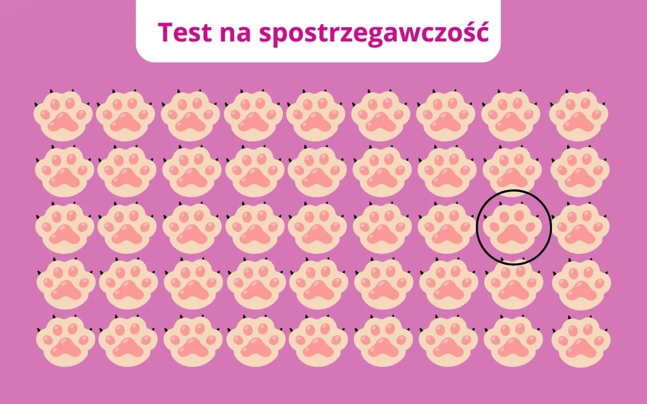 Poprawna odpowiedź Wzór złożony z równo rozmieszczonych różowych odcisków łap z jednym łapą oznaczoną czarnym okręgiem, całość na fioletowym tle, w górnej części napis Test na spostrzegawczość.