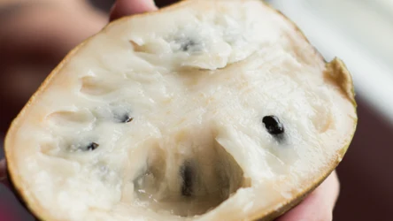 Czerymoja smakuje jak budyń, a wygląda jak jabłko. Jest jednym z najzdrowszych owoców, który pomaga m.in. schudnąć