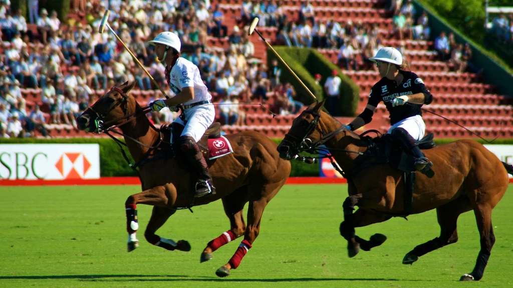 Argentyński turniej polo Argentyński turniej polo