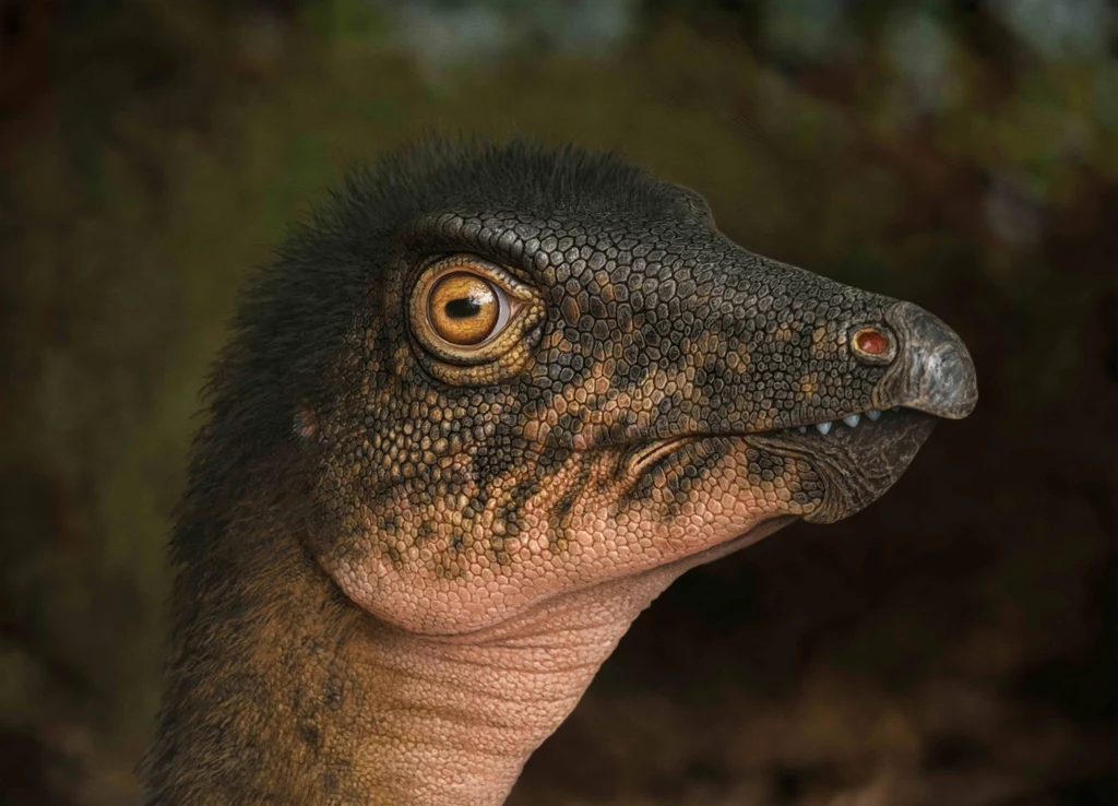 Thescelosaurus mógł być zwierzęciem odkrytym w Muzeum Historii Naturalnej w Denver Głowa prehistorycznego gada z łuskami, dużym żółtym okiem i charakterystycznym, wydłużonym pyskiem, wyraźnie zaznaczona faktura skóry, tło rozmyte ciemne.
