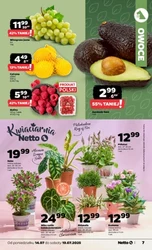 Netto - Dyskontowe ASY
