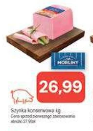 Шинка Morliny