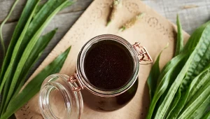 "Syrop z ziemi" według receptury przodków. Na mocny kaszel i stany zapalne