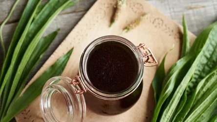 Zbierz latem i zrób zapas "syropu z ziemi", według receptury naszych przodków. 