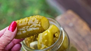 Już nigdy nie wyjdą miękkie i puste w środku. Sposób na chrupiące kiszone